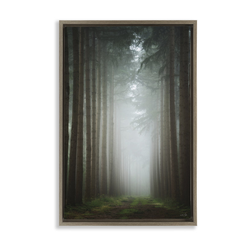 Cadre flottant clair de lune à travers forêt sombre, design par Martin Podt, H 31 po x l 21 po