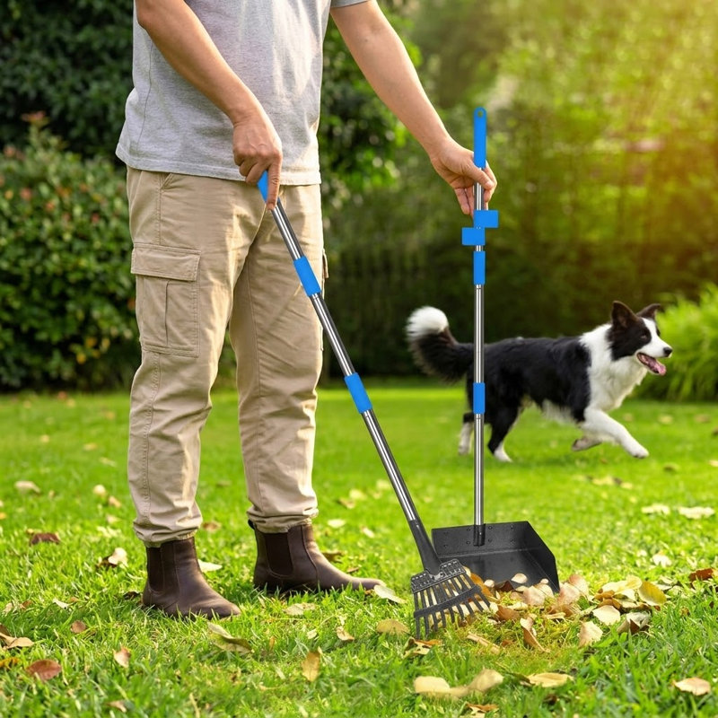 Ensemble de grande capacité Poop Scooper, en acier inoxydable robuste à long manche et pelle à râteau, pour les grands et les petits chiens, utilisation dans la cour