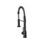 Belfry Kitchen Kitchen Faucet-295711470