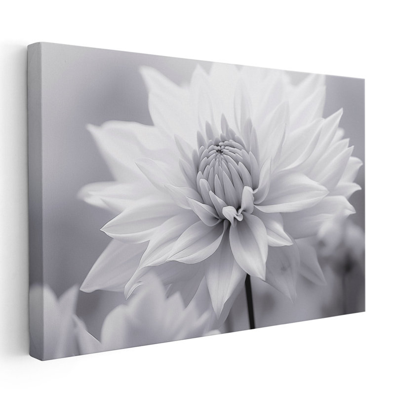 Douceur en monochrome 2, impression d'art mural, Papier non encadré, H 20 po x l 30 po x P 0,02 po