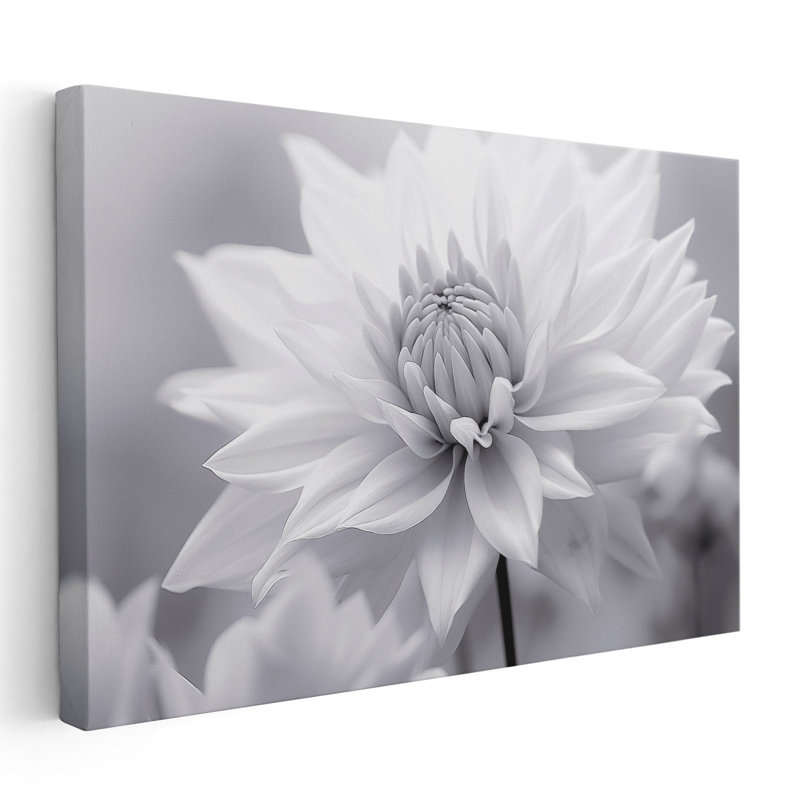 Douceur en monochrome 2, impression d'art mural, Toile avec cadre flottant brun, H 16 po x l 24 po x P 1,25 po