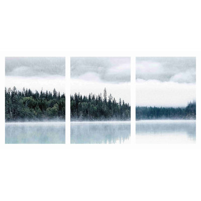 «Chickerell Fog Pine Forest» sur toile, reproduction de 3 pièces