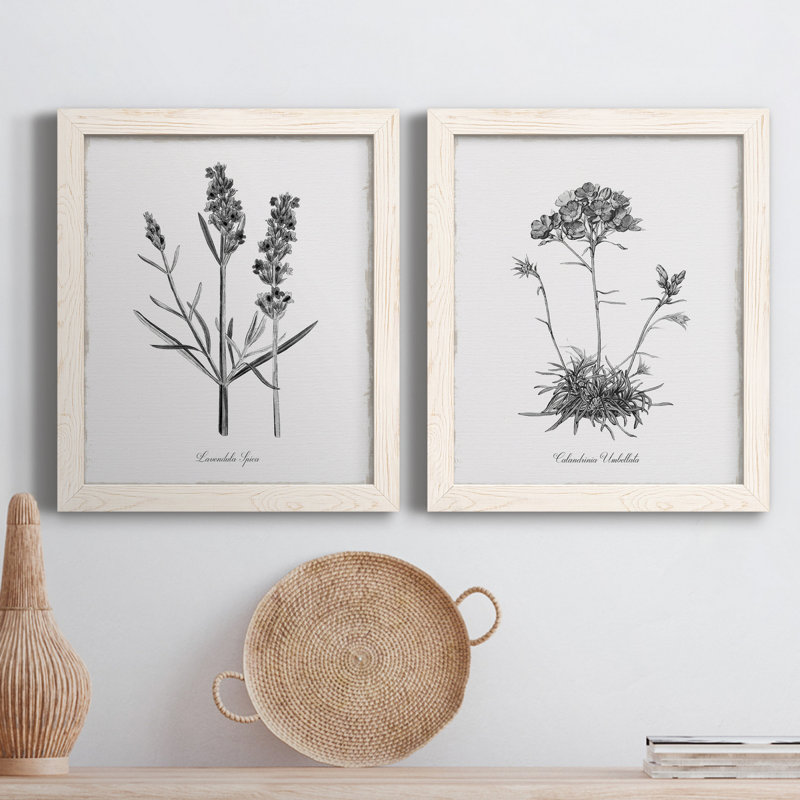 Simply Lavender - Ensemble de 2 peintures sur toiles encadrées, Blanc, H 31,5 po x l 43,5 po x P 1 po
