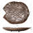 Serving Tray-1539532151