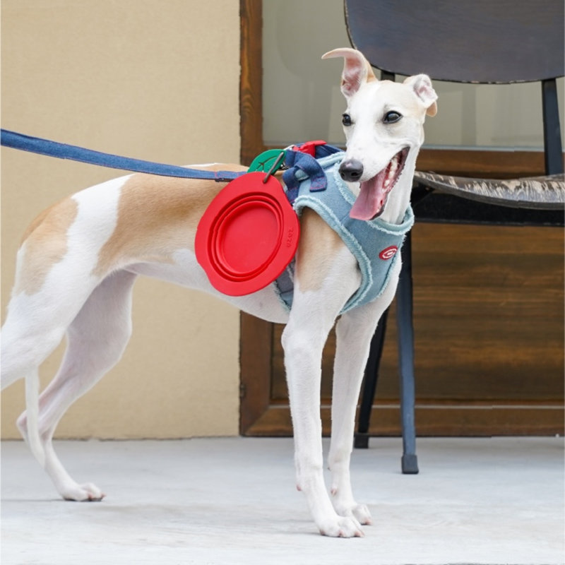 Bol pour chien pliable en silicone Zeze Red Apple