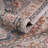 Tiled Border Area Rug