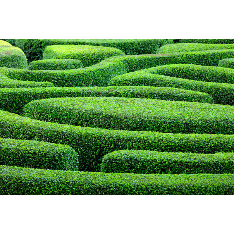 Maze in Park Garden 1 Piece Wrapped Canvas Wall Art, 51cm H x 76cm W