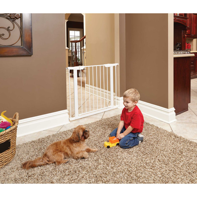 Barrière en acier pour animaux MidWest Homes for Pet, H 30 po x l 30 po x P 1 po, Blanc