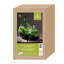 Keohane Glass Terrarium