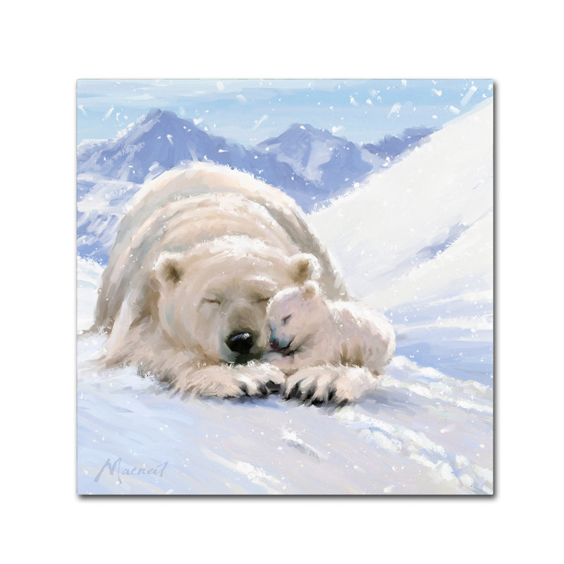 Armand 'Bearcub Square' Print on Canvas, 35" H x 35" W x 2" D
