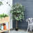 Charleston 160cm Faux Ficus Tree in Pot