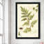 Ivies and Ferns I Crop - Peinture-210487824-210487832