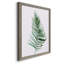 «Sage Frond II», reproduction sur toile encadrée-61317257-61317259
