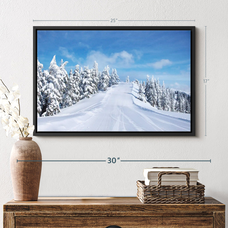 Impression sur toile Mount Baker, H 17 po x l 25 po