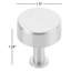 Pub House Round Knob-1747123603