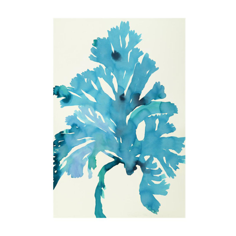 Plants III par Hable Construction - impression, H 36 po x l 24 po x P 1,5 po, Couche de verre