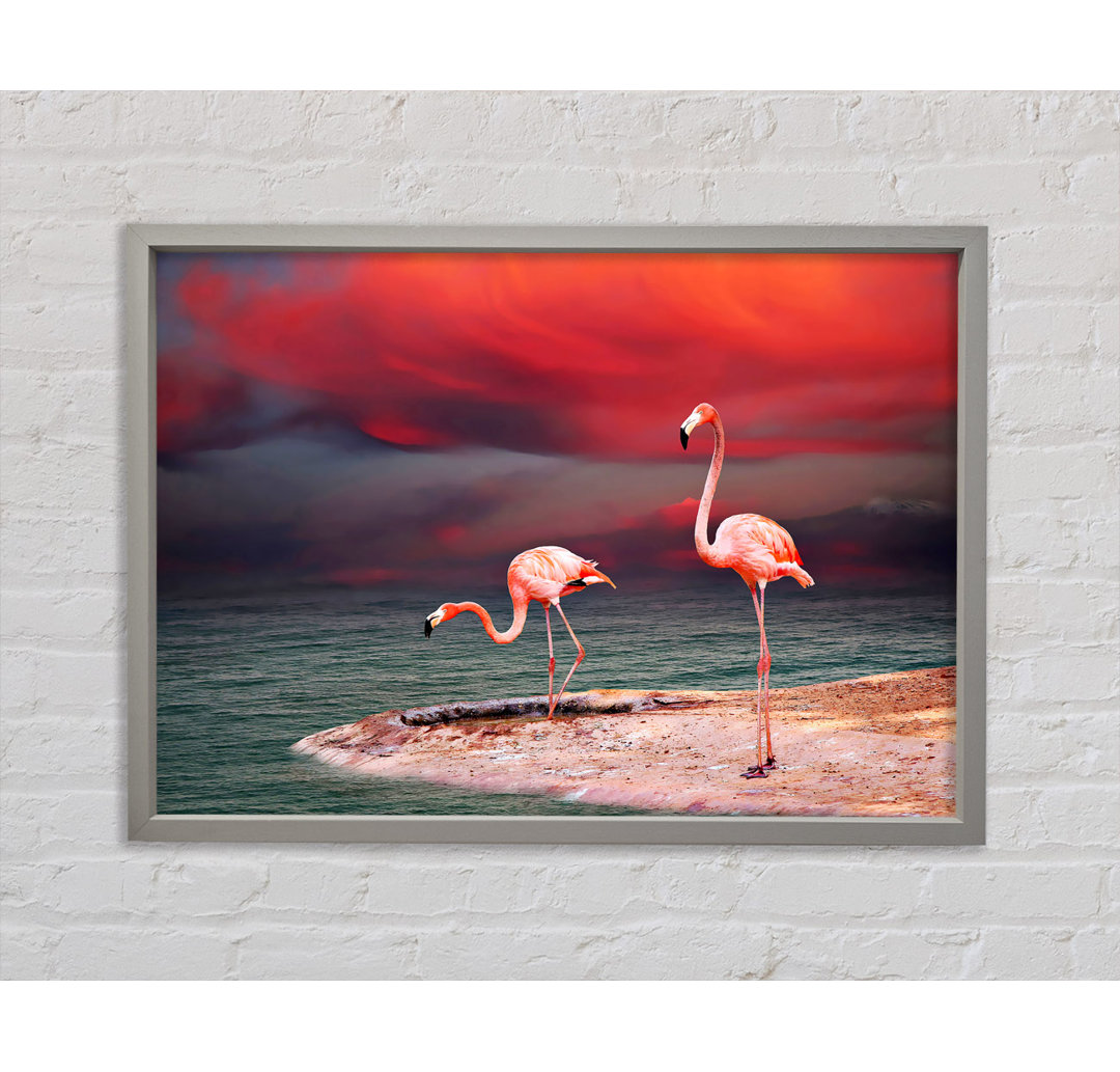 Rosa Flamingo Ozean - Einzelner Bilderrahmen Kunstdrucke auf Leinwand