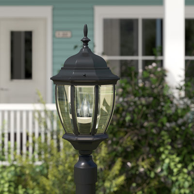 Earlene Lantern Head