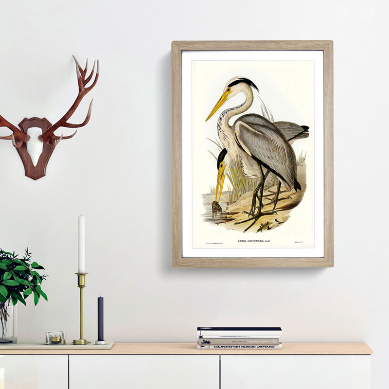 Great Grey Herons by Elizabeth Gould - Picture Frame Painting Print, Oak Framed, 36cm H x 27cm W x 2cm D