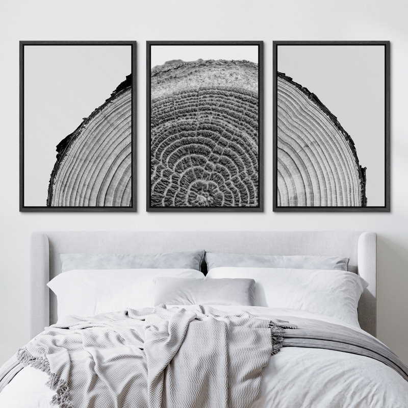 Black Framed Nature Tree Rings Canvas Print Set