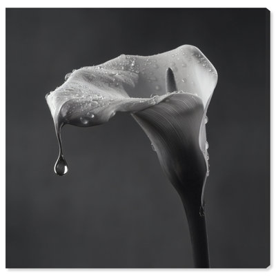 Midnight Rain Print by Oliver Gal
