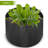 VEVOR Growing Kit-100614001