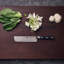 ZWILLING Pro 6.5-inch Nakiri Knife