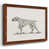Maple Framed