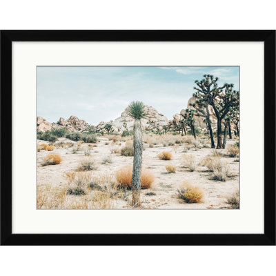 View Of Joshua Tree Print
