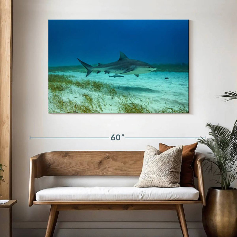Crowle Bull Shark Habitat, 32" H x 48" W
