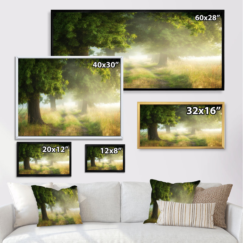 Foggy Morning Old Oaks - photographie sur toile, Cadre noir, H 12 po x l 20 po x P 1 po