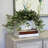 Karas Faux Tradescantia Plant in Ceramic Vase-785935226-768756894