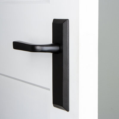 Plaque de maintien en fer avec levier Lance Ageless