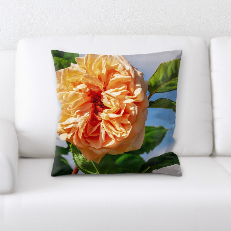 Coussin rose