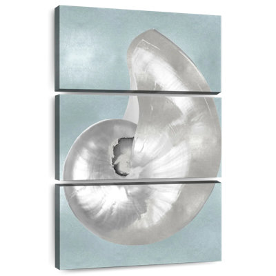 Aletra Silver Shell On Aqua Blue I