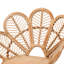 Akam Rattan Accent Chair