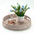 Handwoven Rattan Nesting Tray Set of 3 with Handles for Serving & Decor