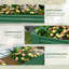 Raised Garden Bed