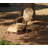 Adirondack Side Table