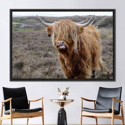 Print on Canvas
