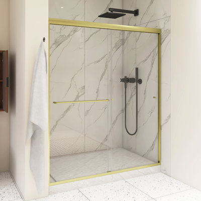 54 po X P 72 po Porte de douche coulissante double H