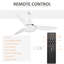 Nagma Ceiling Fan with Light Kit