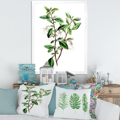 Feuilles de plantes - Reproduction de photo sur toile