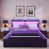 Black/Purple