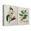 Toile tendue avec châssis Turpin Tropical Botanicals-1535784755