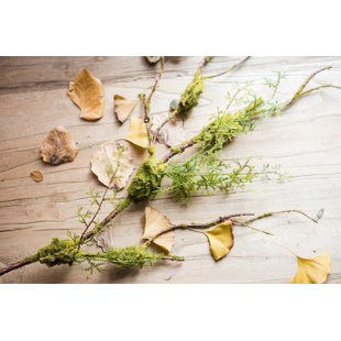 Moss Arrangement