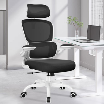 Lidwien Ergonomic Breathable Mesh Office Chair with Adjustable Headrest and Flip-Up Arms by Inbox Zero
