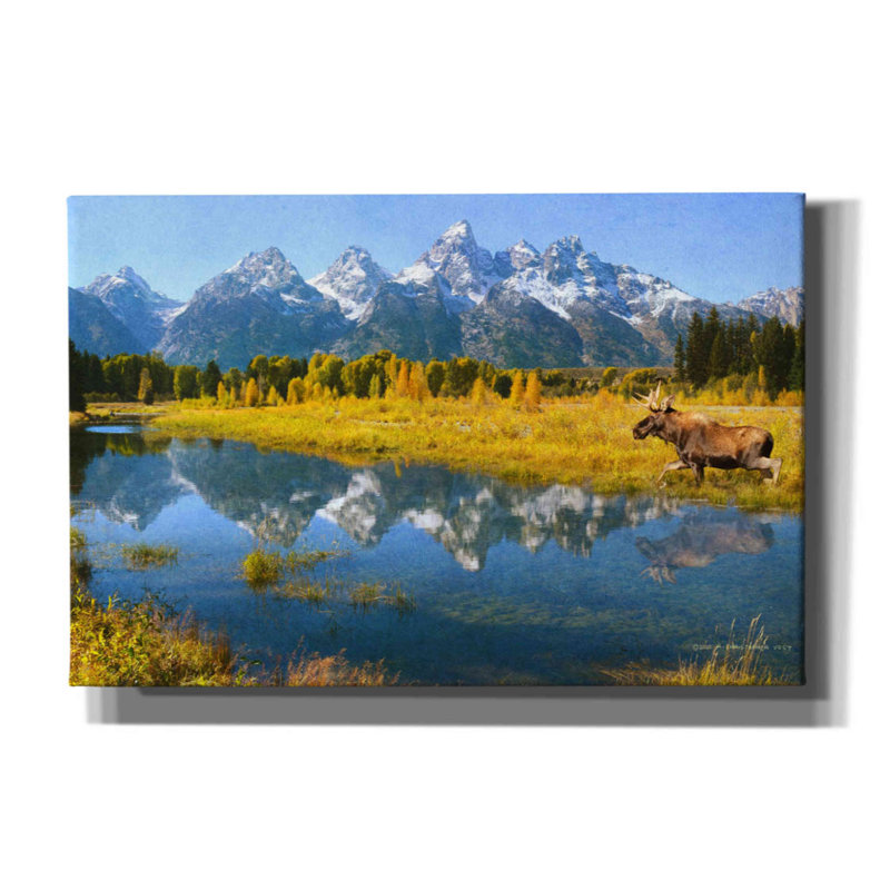 «Grand Teton Reflections Moose» par Chris Vest, art mural sur toile, H 12 po x l 18 po x P 0,75 po