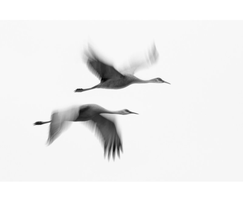 Wrapped Canvas Print, 81.28 cm H x 121.92 cm W