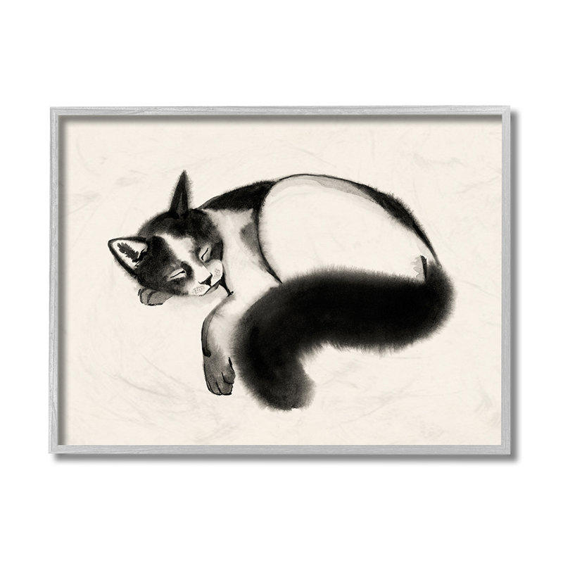"AC-500" pour chat avec Grace Popp-impression, H 11 po x l 14 po x 1,5 po, Giclée encadrée noir minuit